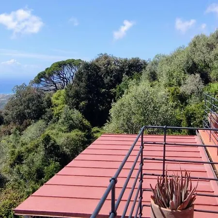 Chincamea Villa Casarza Ligure Exterior photo