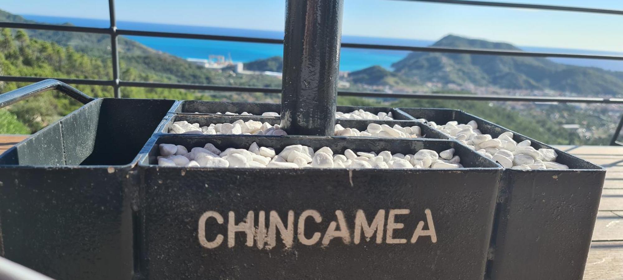 Chincamea *